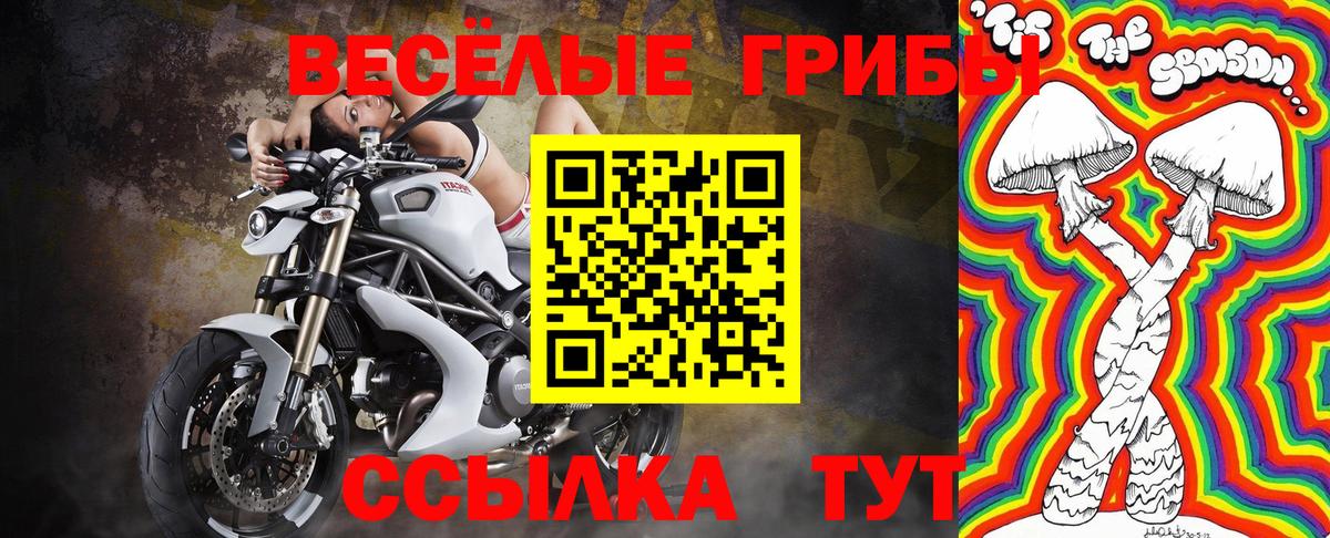 Галлюциногенные грибы MAGIC MUSHROOMS Елабуга