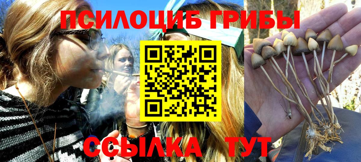 Псилоцибиновые грибы мухоморы  Вход с VPN  Галлюциногенные грибы прущие грибы  Елабуга 
